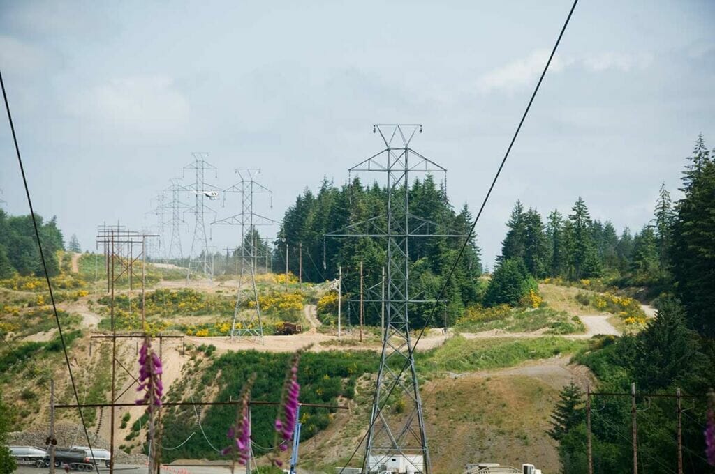 Transmission line through trees